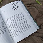 Последний эльф