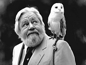 Даррелл Джеральд